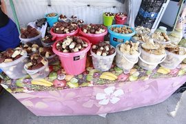 Грибы