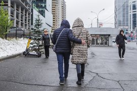 Заморозки