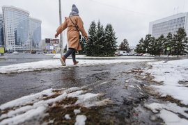 Заморозки