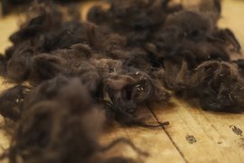 11 ноября исполнялся ритуал с овечьей шерстью