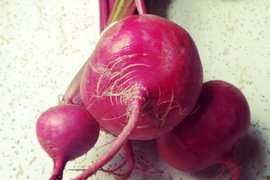 Считалось, что 18 ноября нужно обязательно было съесть кусок репы