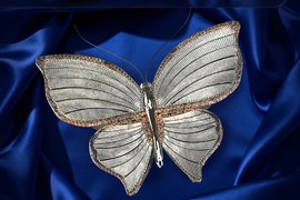 Премия «Бриллиантовая бабочка»