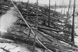 Бурелом вокруг места взрыва Тунгусского феномена