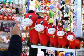 Грустная красная лошадка в Китае