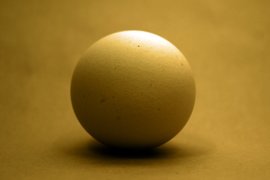 Впервые странные шары стали появляться на побережье Австралии в 2024 году