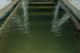 Крещение 2025