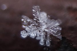 Снежинки