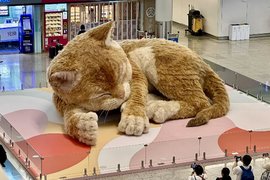 Инсталляция в виде кота в аэропорту Гонконга