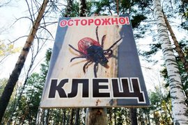 Клещ