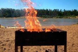 Зачем солить угли при приготовлении шашлыка