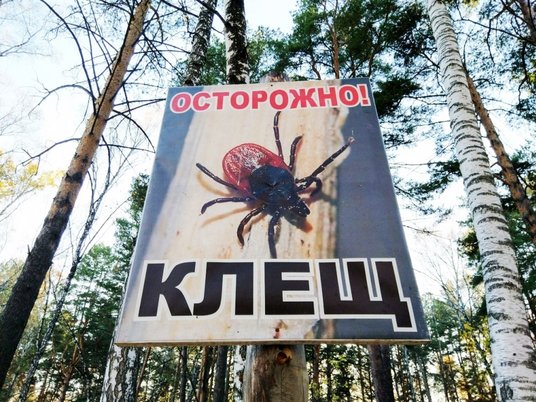 Клещ