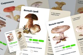 Грибы Сибири